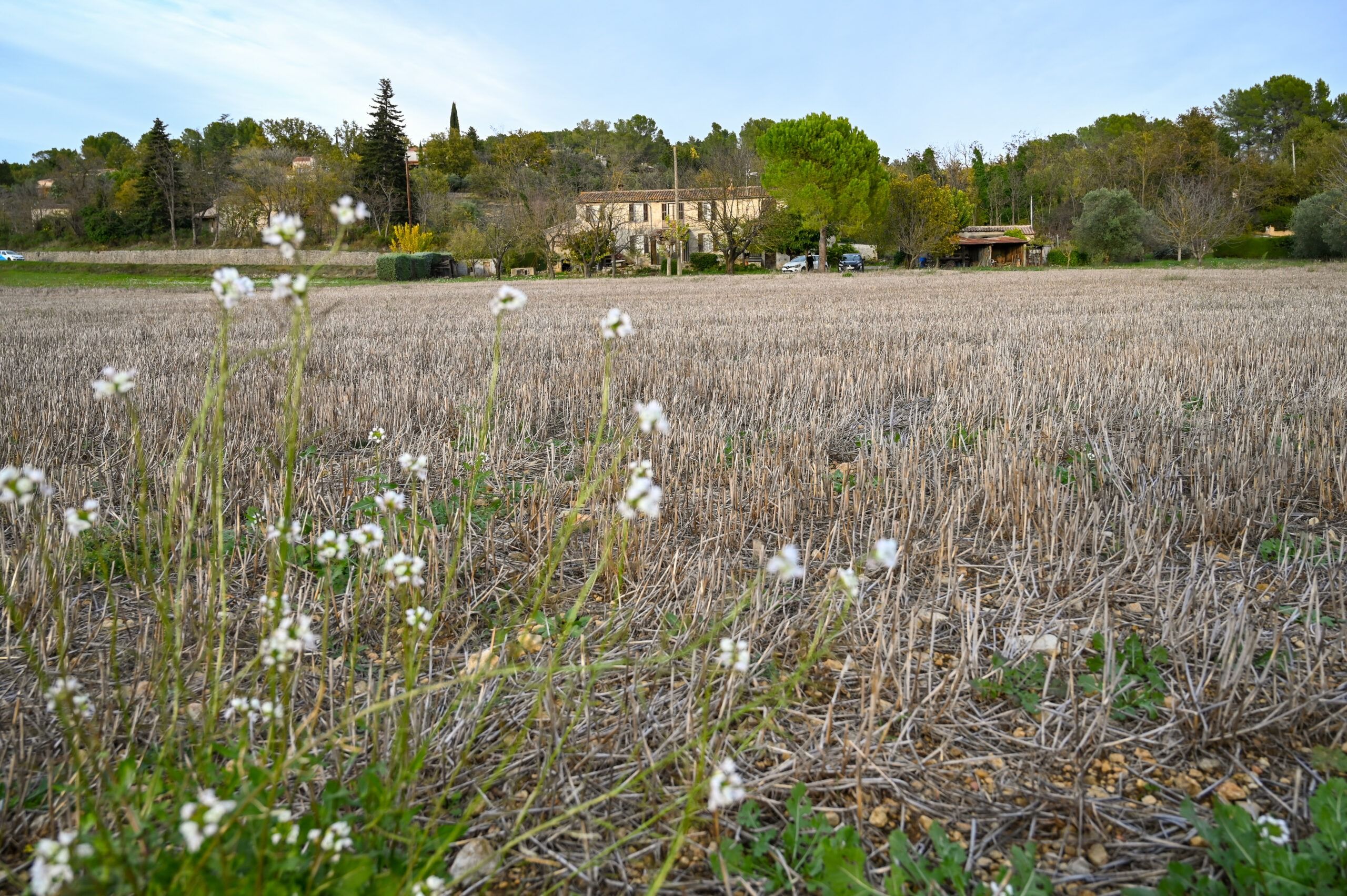 Appel à candidatures Agriculteur