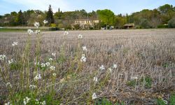 Appel à candidatures Agriculteur